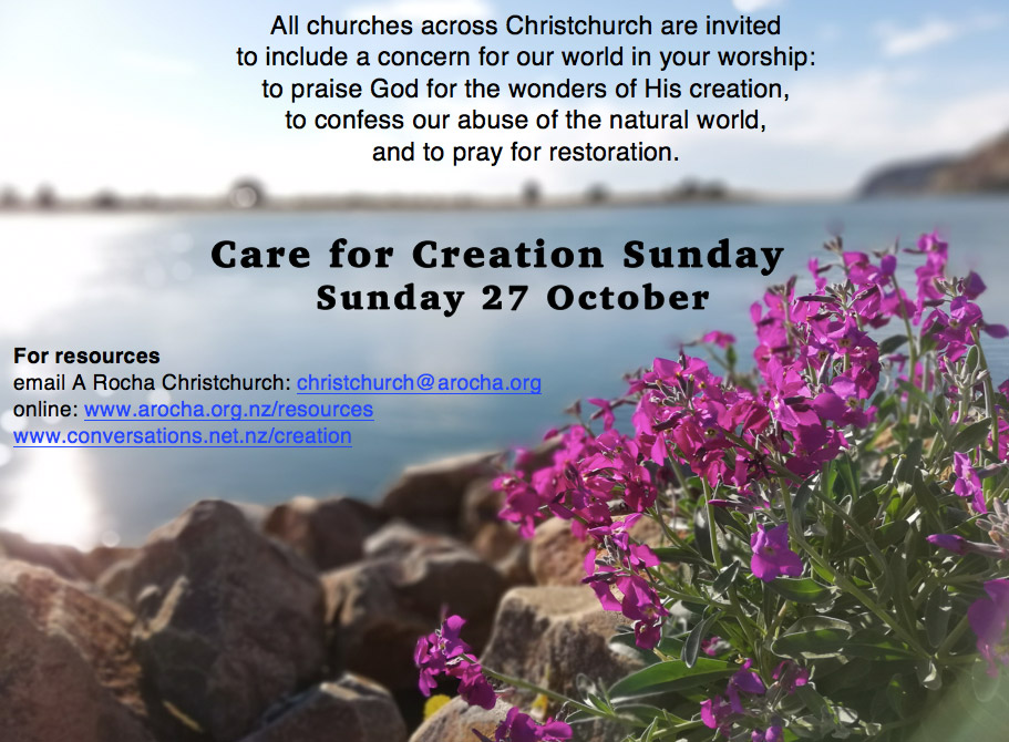 Care for Creation Sunday flier oct19