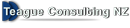 TeagueConsulting logo